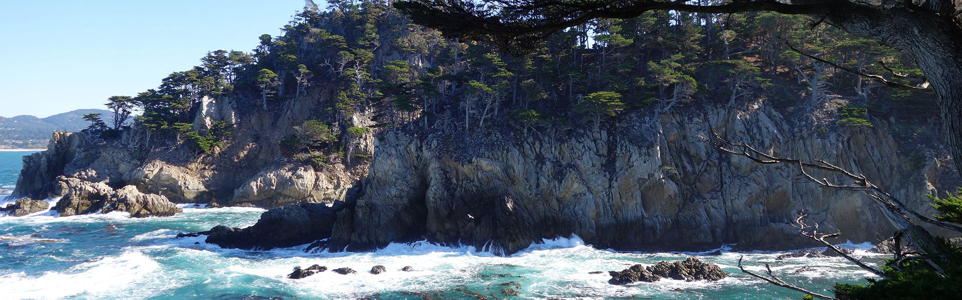 Point Lobos State Reserve